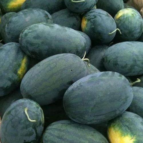 留学吃瓜黑料视频集合,那些你不知道的吃瓜黑料视频大集合